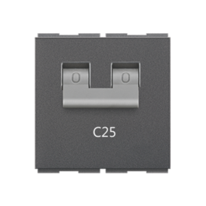 C25 double pole modular mcb